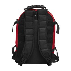Backpack II